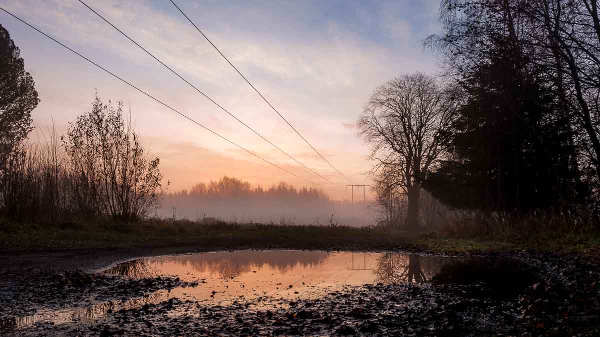 6 vårknep som förändrar din trädgård