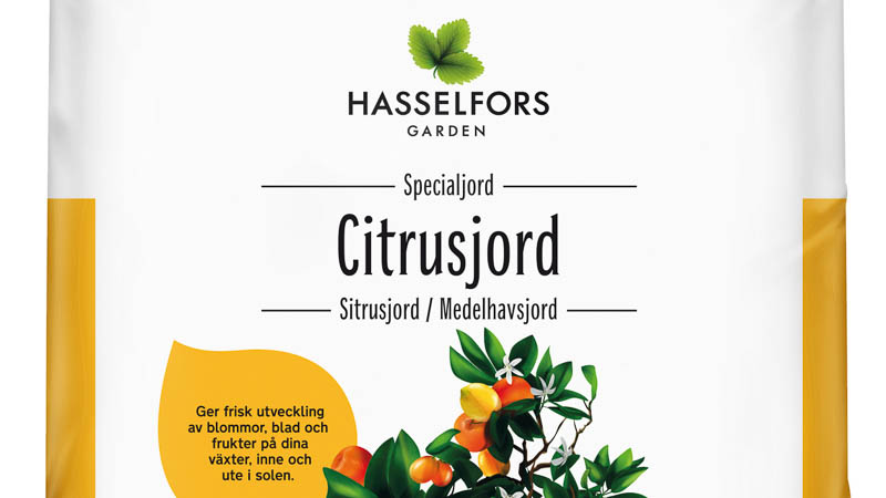 Citrusjord